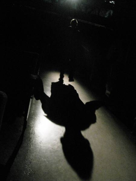 coroberto_03.jpg coroberto_03.jpg